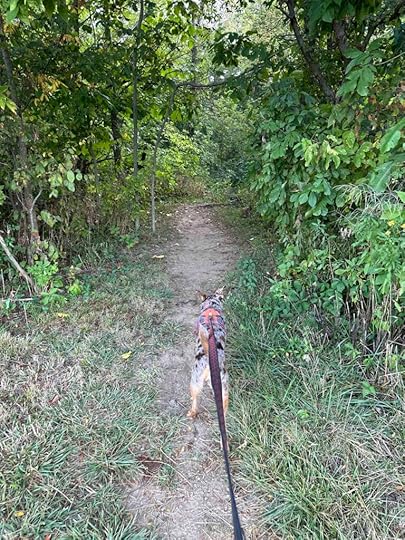 entrance to the trail