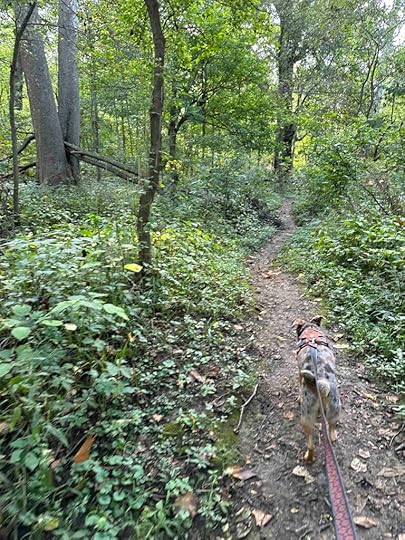 on the trail at James P. Covell Nature Preserve