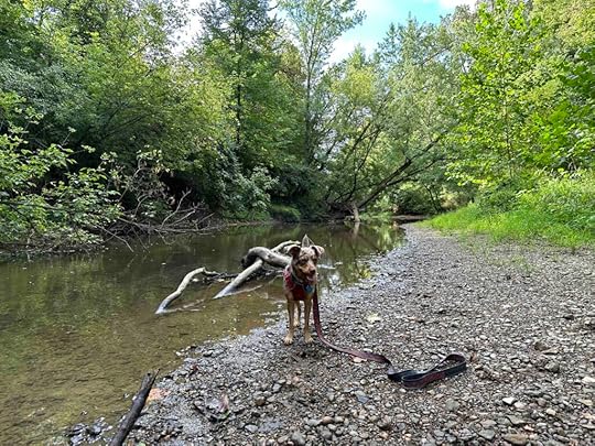 On the shore at Cedar Creek