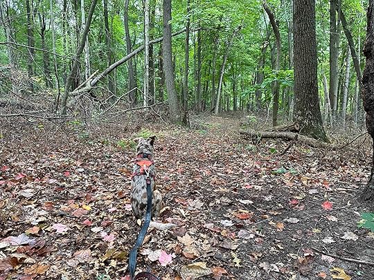 Ropchan Memorial Preserve