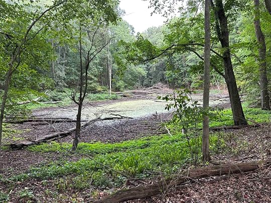green water at Ropchan Memorial