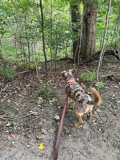 checking out the ravines