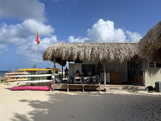 goby dive shop in curacao