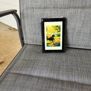 Trotting into Trouble CR