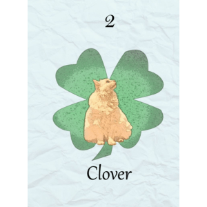 Clover Card