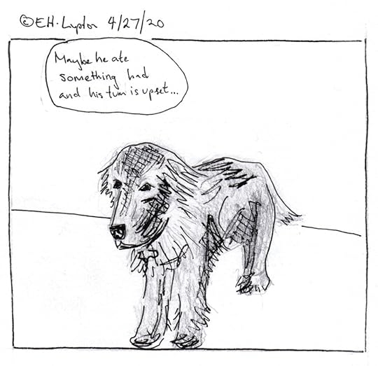 Em: (from off) Maybe he ate something and his tum is upset...(Dog continues staring.)