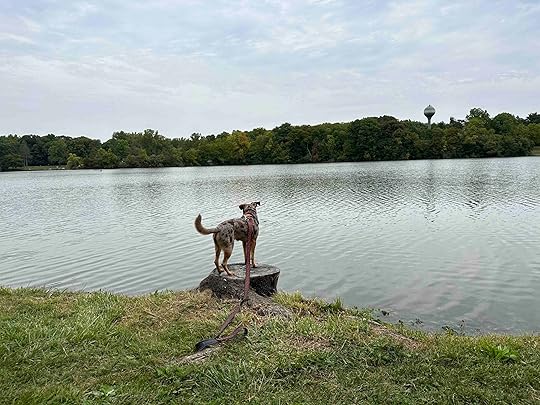 Sunny at Harrison Lake State Park
