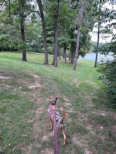 walking toward Harrison Lake