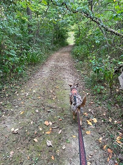 on the trail at Harrison Lake State Park