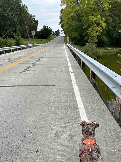 walking across the road