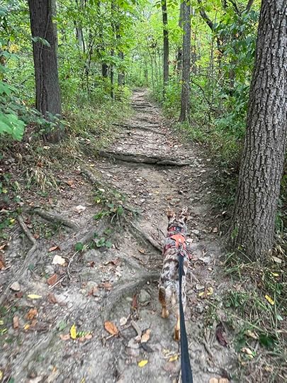 uphill at Harrison Lake State Park