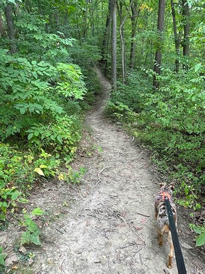 more hills at the park