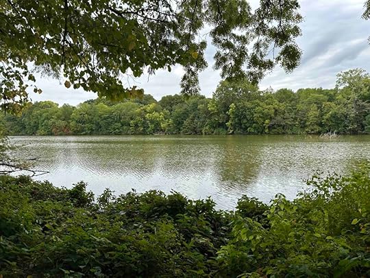 view of the lake from trail at Harrison Lake State Park