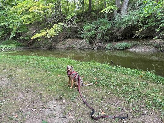 Sunny at Harrison Lake Stat Park