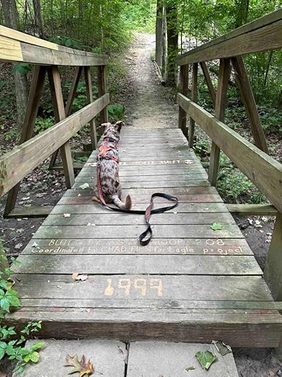 Eagle scout bridge project