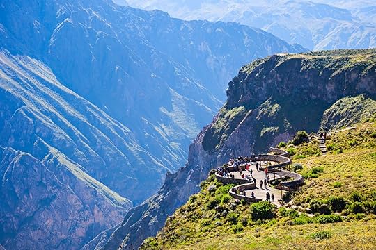 andean condor watching at colca canyon peru