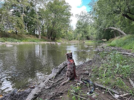 Acres Along the Wabash