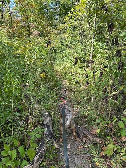 the trail deteriorates