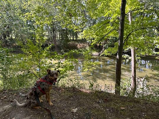 Sunny up above the Wabash