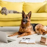 Amy's Books