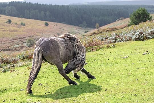 How I use authentic storytelling in the age of AI