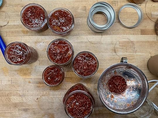 An overhead shot of eight small jars, all filled with fig jam. The lids aren't on yet, so you can see the color and texture.