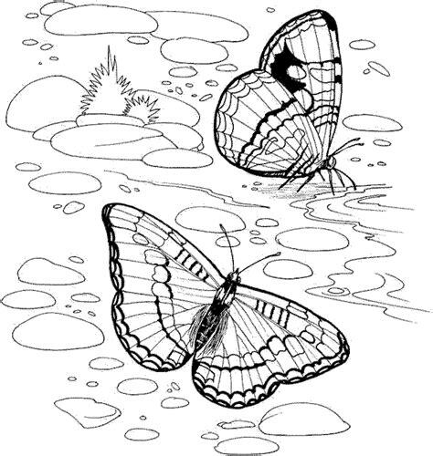 On this page, you will find 15 all new nature coloring pages that are completely free to print and download. nature coloring pages to download and print for free
