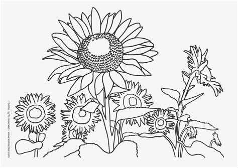 Plus, it's an easy way to celebrate each season or special holidays. nature coloring pages for kids