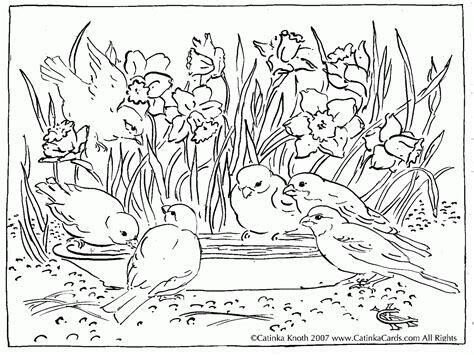 Moments of escape and discovery with these complex coloring pages galleries inspired by nature. nature around the house coloring pages coloring home