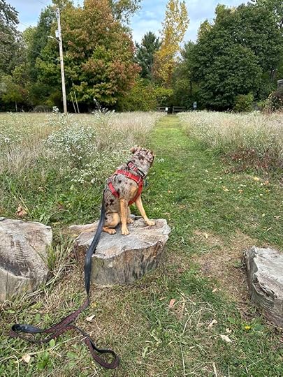 Mengerson Nature Reserve entrance