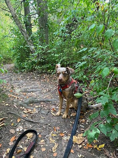 All smiles in the woods
