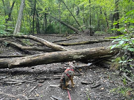 end of the trail at Mengerson Nature Reserve