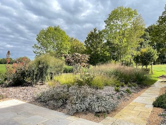 Finding the Feng Shui (cont'd)