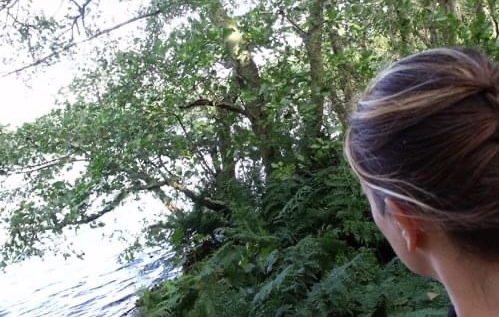 Ailish Sinclair goes into the woods