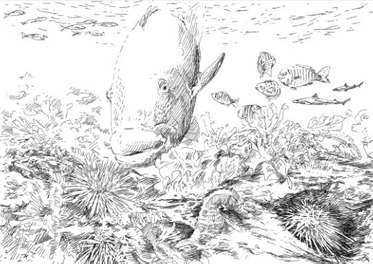 Five reasons why sea urchins are important and extraordinary