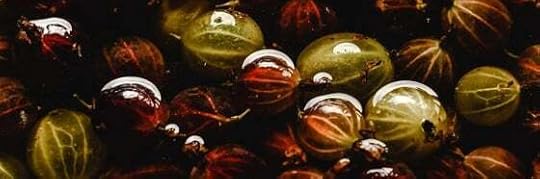 Recensione di Uvaspina di Monica Acito