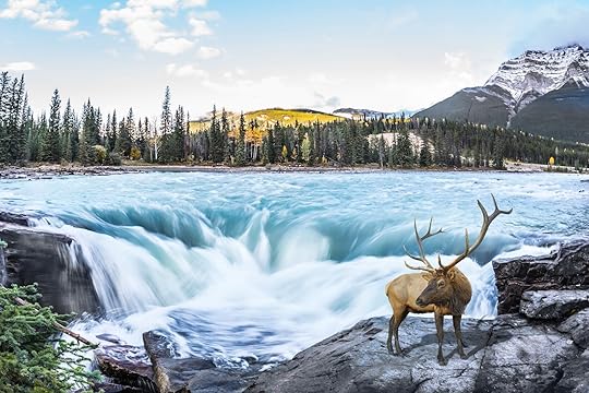 jasper-national-park-autumn