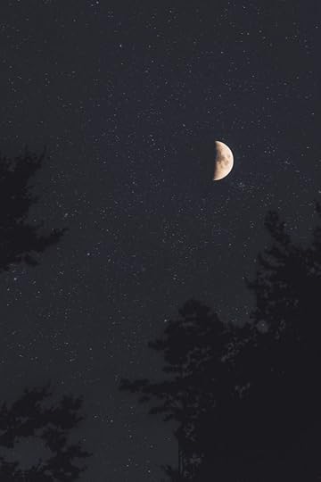 A half-moon in the night sky, with silhouetted tree branches in the foreground.