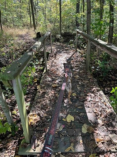 over the bridge at Lost Sister Trail
