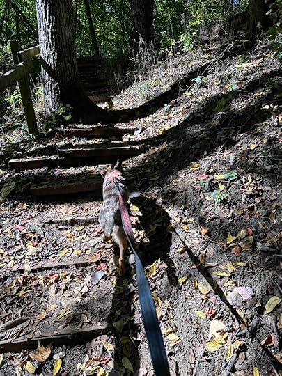 up the stairs at Lost Sister Trail