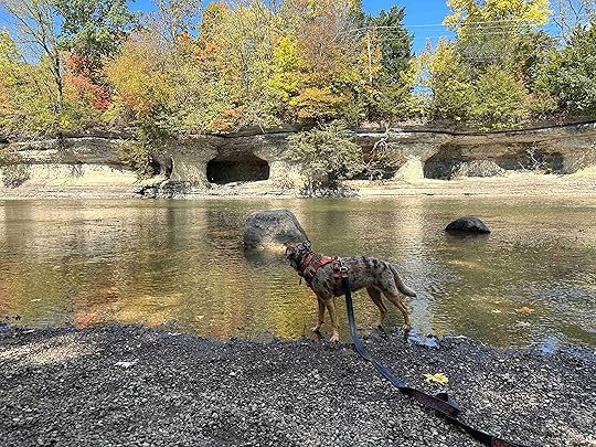 Fall at Seven Pillars Nature Preserve