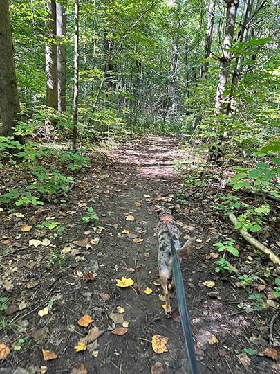Entering the Seven Pillars Nature Preserve