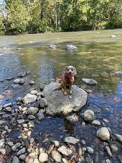 playing in Mississinewa River