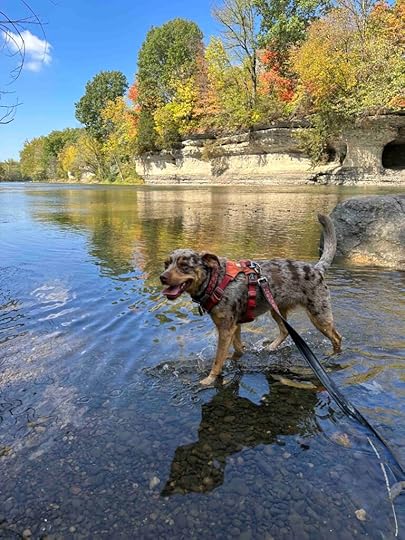 playing in Mississinewa River