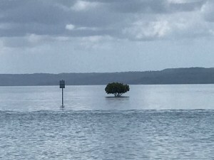 A beacon shows shallow water next to a sandy island so tiny it has only one tree.