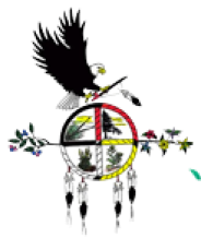 Dream of Wild Health Logo