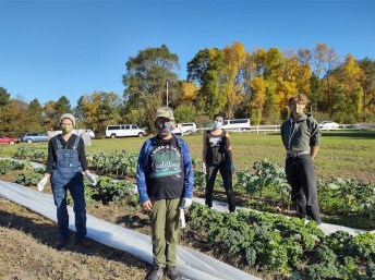 A group of people standing up and taking a break from farm work.
