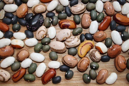 A mix of homegrown seeds from white, green, brown, orange and mottlesd