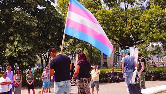 A photo from the Trans Solidarity March in DC, by Ted Eytan. Someone holding up a trans flag