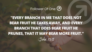 Living Branches Bear Fruit – John 15:2